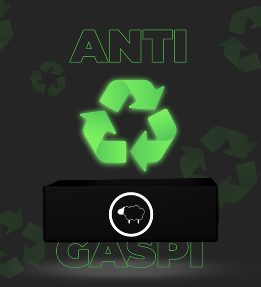 Box Anti Gaspi